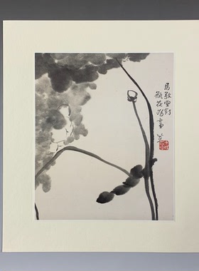 二玄社山水花卉册墨色生动复制品