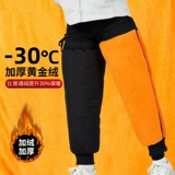 镓樿 ︽ 镓樿 姩 姩 姩 よ よ 啙 啙 濇殩 濇殩      鑶濈 洊阒 洊阒 瘨 阒  よ 炲 櫒鎸 鐢 鐢 鐢 コ コ