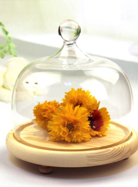 创意永生花景观防尘罩玻璃展示罩