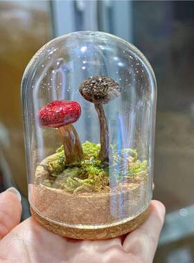真玫瑰真蘑菇标本微观摆件装饰生日礼物送女友情人节礼物
