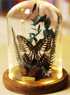 薇时光永生花玫瑰玻璃罩摆件真蝴蝶标本情人节纪念日生日创意礼品