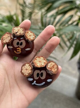 新款ins平安豆冰箱贴diy果实森系风植物干果可爱萌宠居家装饰礼品