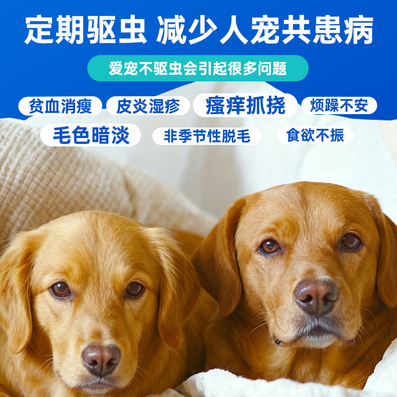 雷米高贝宠安狗狗猫咪幼犬跳蚤宠物非泼罗尼滴剂体内外驱虫药一体