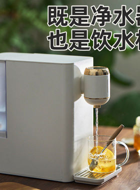大宇净饮一体机既热式饮水机台式家用过滤净水器小型自来水净化机