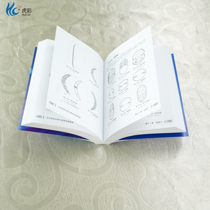 HG淡水微型生物与底栖动物图谱第三版周凤霞细菌放线菌真菌蓝细菌藻类原生动物门轮虫节肢动物微型生物和120余种底栖动物介绍书HG - 图2