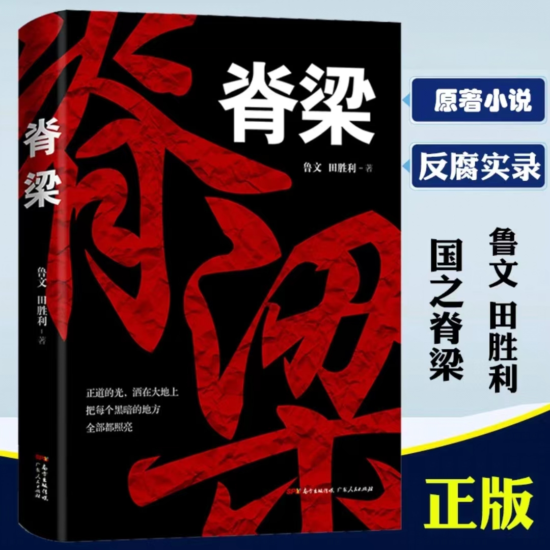 【反腐纪实2册】丁捷初心+脊梁鲁文田胜利反腐纪实文学追问续作现实主义官场小说反腐小说纪检监察CB-图0