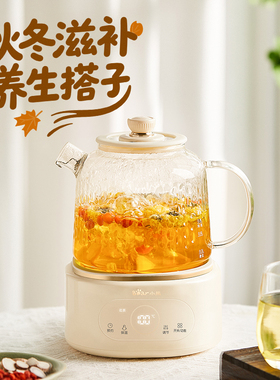 小熊全玻璃养生壶家用多功能恒温热水壶养生水壶办公煮茶壶纯玻璃