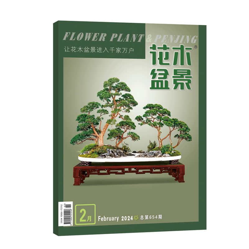 花木盆景杂志2024盆景赏石专业期刊深度挖掘花卉园林行业风采和文化底蕴，表现自然界花草树木和花艺-图0