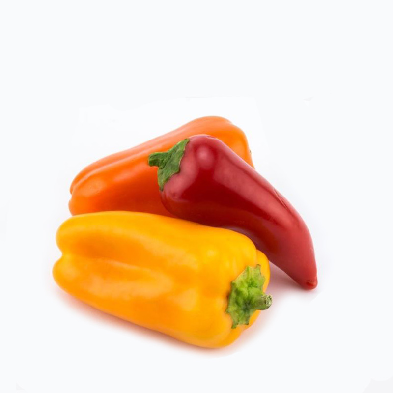 甜椒新鲜蔬菜水果椒250g迷你小辣椒红黄彩椒小彩椒健身沙拉食材 - 图3