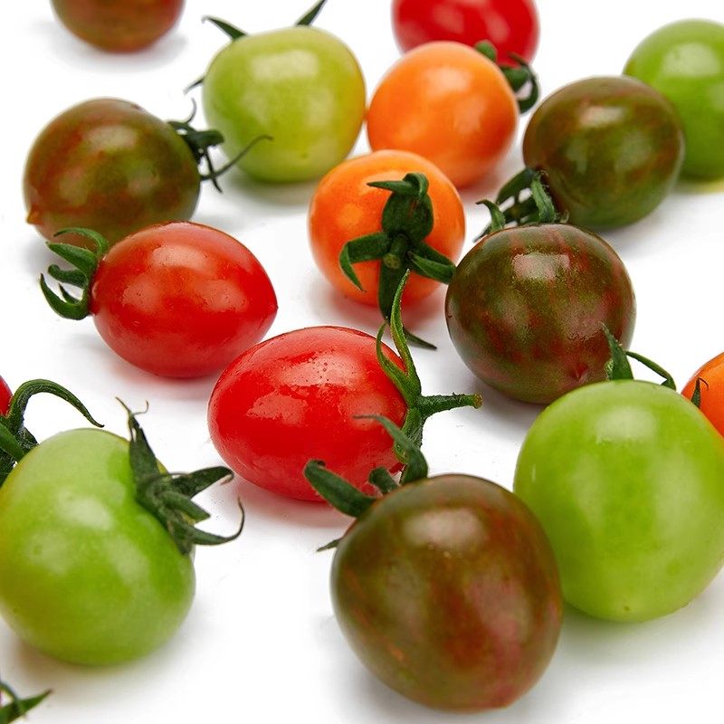 五彩圣女果新鲜1000g多色小番茄新鲜水果樱桃圣女果沙拉蔬菜食材,淘宝优惠券,粉丝福利购,淘宝优惠卷