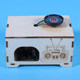 Chasing Deer Physics Recorder Gramophone