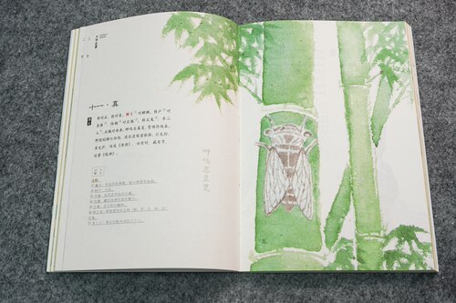 绘美蒙学经典绘本·声律启蒙 图文幼儿儿童版亲子阅读启蒙国学绘本配注释  车万育著  江西美术出版社 - 图2