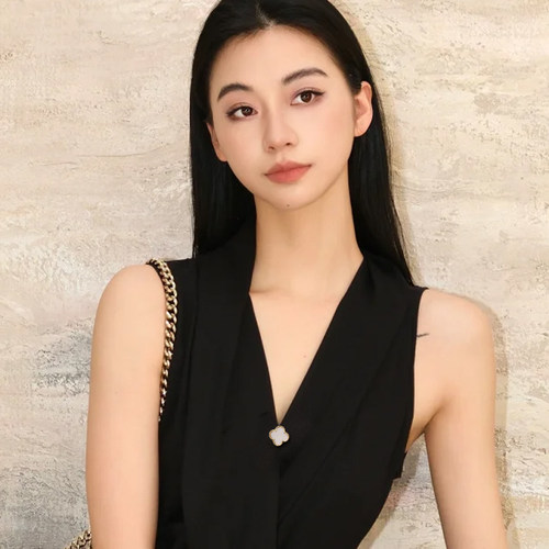 黑色四叶花胸针女2026新款防走光领口固定扣高端精致时尚配饰轻奢 - 图0
