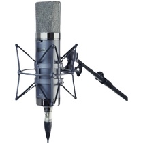 Spot Bblaudio T2 Dual Tone Color Dual-Vibration Film Professional Recording Shed K Song Live Capacitive Microphone