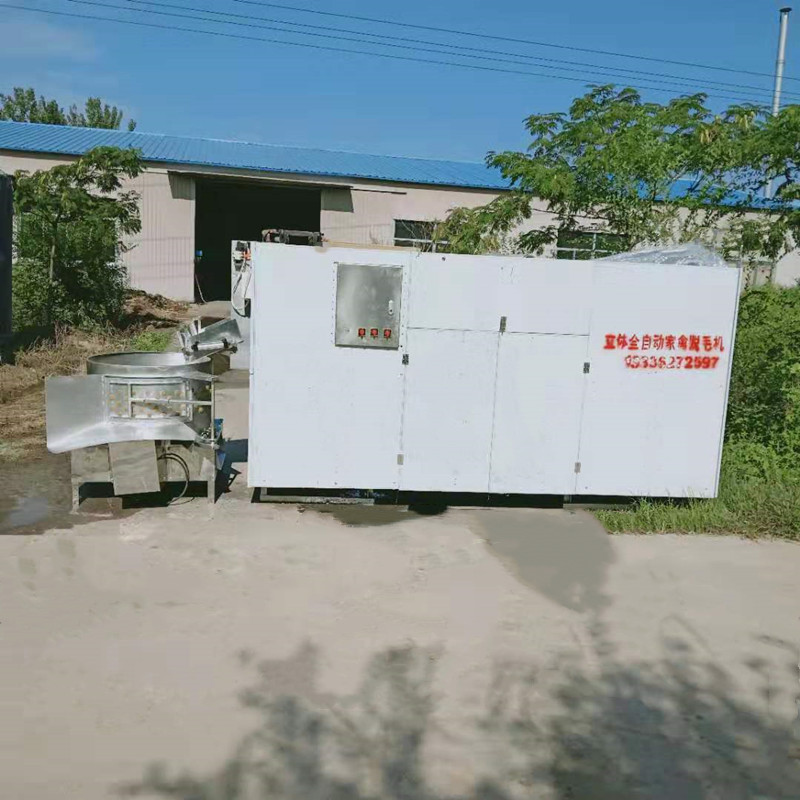 新款脱毛机鸡鸭鹅全自动商用大型去毛机电动 鸽子鹌鹑家禽打毛机 - 图1