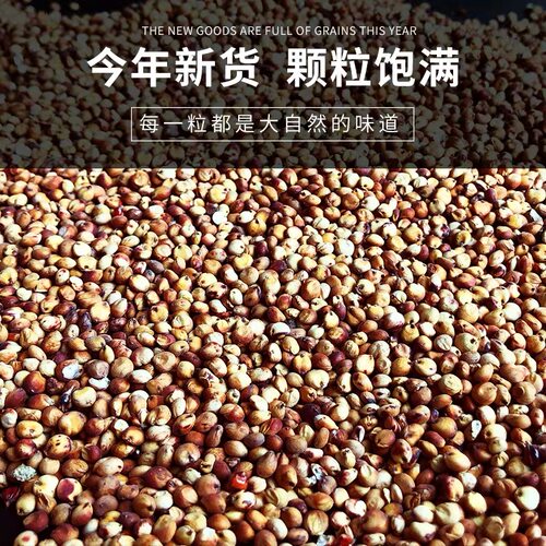 红高粱鸽粮鸟食玄凤虎皮鹦鹉饲料信鸽子粮食仓鼠宠物零食5斤包邮 - 图0