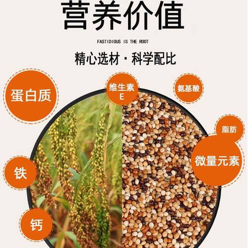 虎皮鹦鹉饲料鸟食玄凤谷子牡丹粮食文鸟黍子混合鸟粮包邮5斤包邮 - 图1