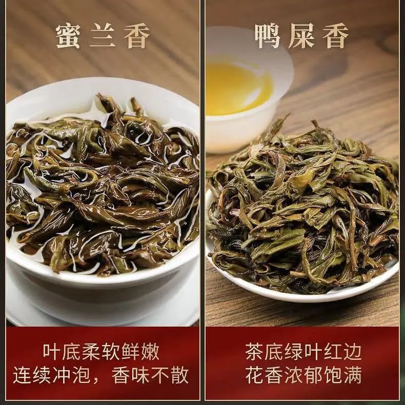 凤凰单丛茶鸭屎香乌岽单枞茶蜜兰香浓香型茶叶潮州功夫茶叶礼盒装 - 图2