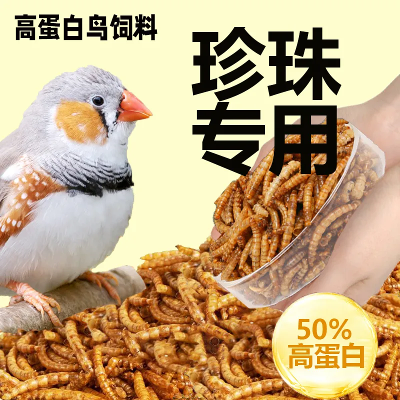 珍珠鸟面包虫干文鸟鸟粮零食金山珍珠小珍珠锦华雀幼鸟通用营养粮,淘宝优惠券,粉丝福利购,淘宝优惠卷