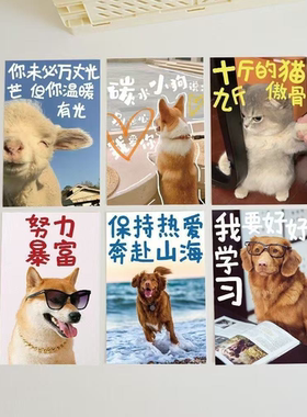 10张可爱动物奔赴梦想励志卡片暖心明信片室内墙面高级感装饰墙贴