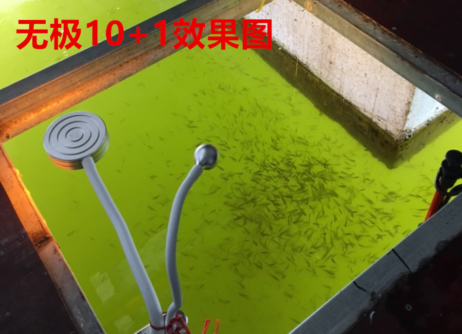 尼可筏钓灯黄光双灯头集鱼灯大范围引鱼灯诱鱼灯夜钓灯钓鱼灯包邮 尼可筏钓灯黄光双灯头集鱼灯大范围引鱼灯诱鱼灯夜钓灯钓鱼灯包邮