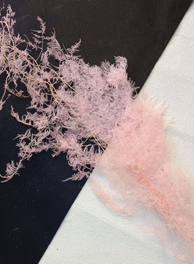 文竹干花永生花婚庆材料花艺