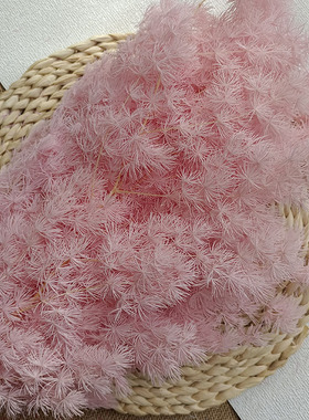 干花蓬莱松永生花花束配花天然