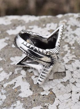 进口欧美男士925纯银摇滚戒指