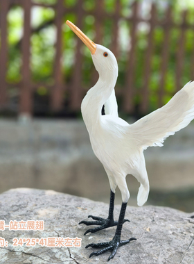 室内仿真白鹭装饰模型摆件真羽毛