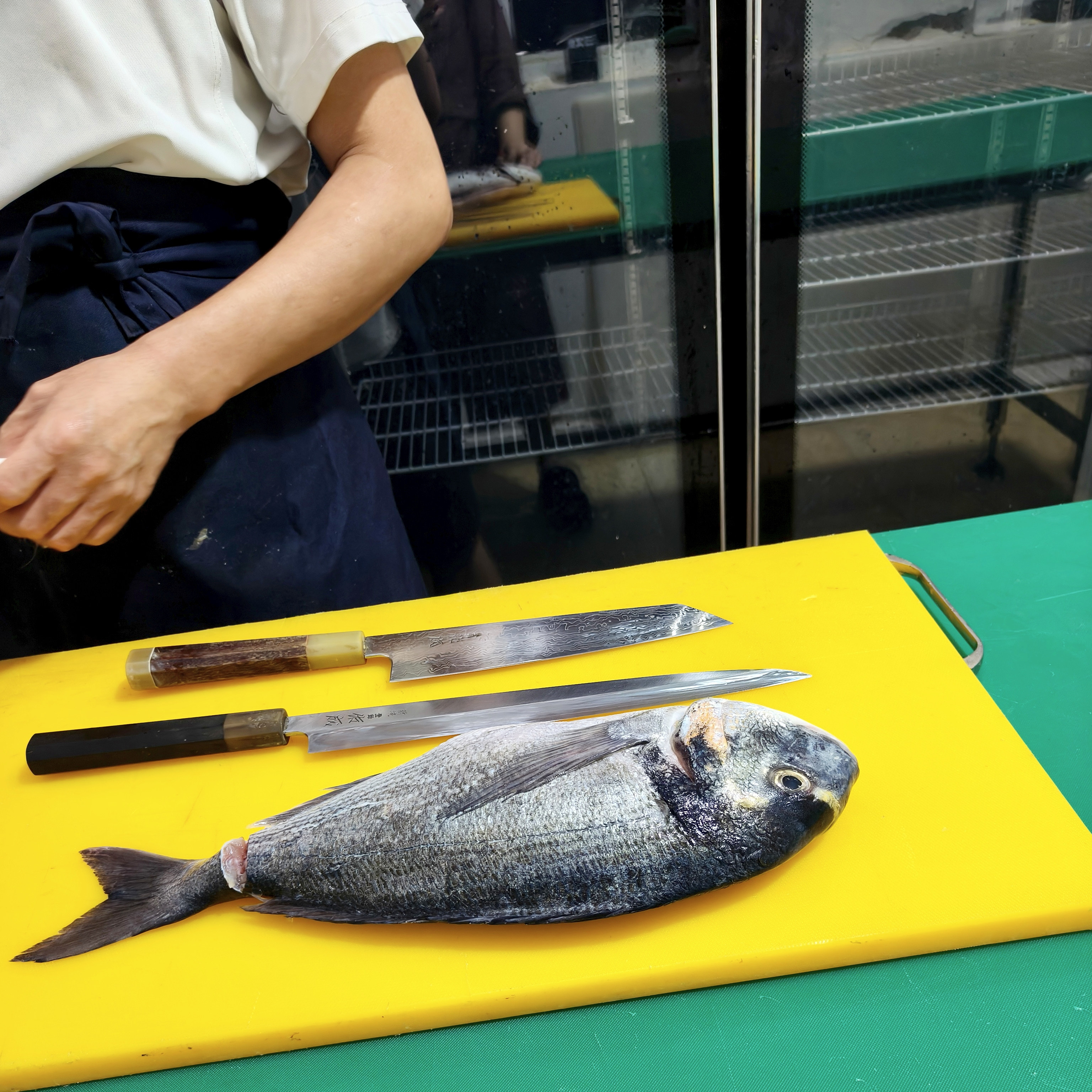 现切金头鲷 活缔法 免费解鱼 刺身大西洋鲷  顺丰特快,淘宝优惠券,粉丝福利购,淘宝优惠卷