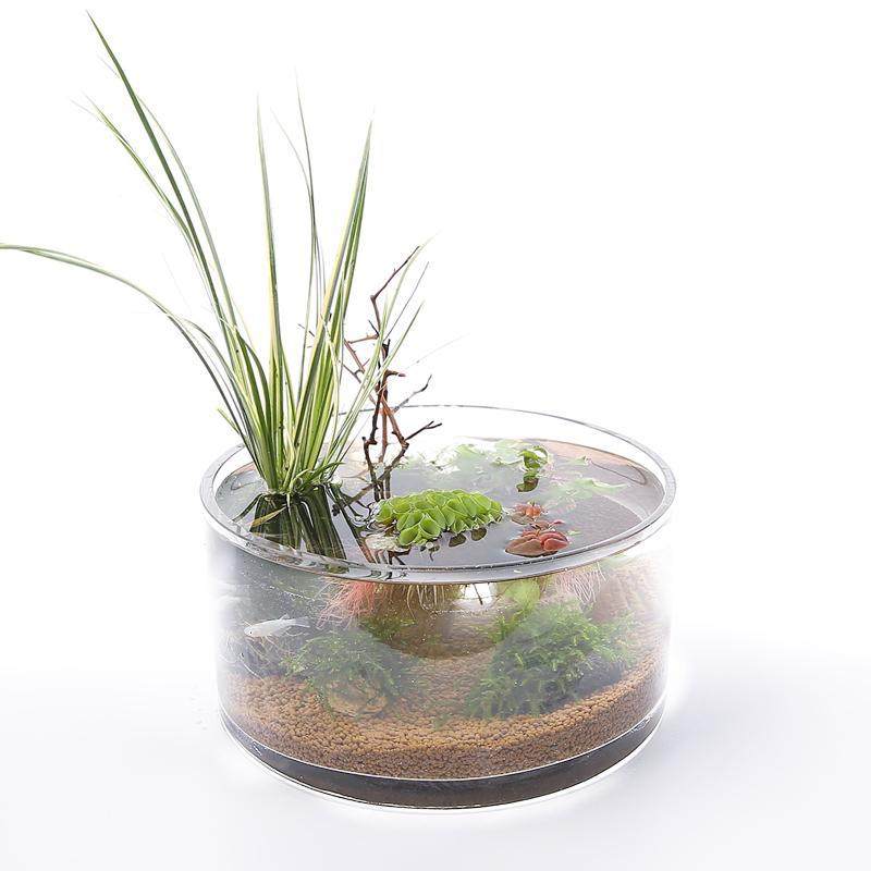 网红莫斯水草定植环水草鱼虾缸水族箱造景装饰幼鱼虾躲避窝,淘宝优惠券,粉丝福利购,淘宝优惠卷