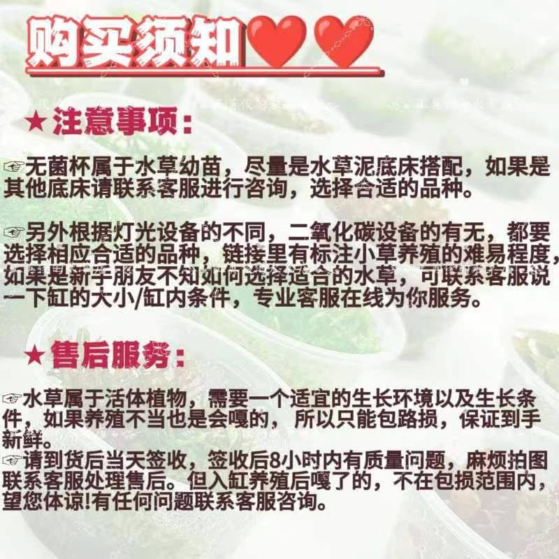 绿宫廷血红宫廷水草新手无菌杯鱼缸草缸造景水下淡水无碳后景草,淘宝优惠券,粉丝福利购,淘宝优惠卷