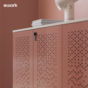 ework文件柜铁皮柜储物带锁资料柜办公室隔断置物档案柜收纳矮柜