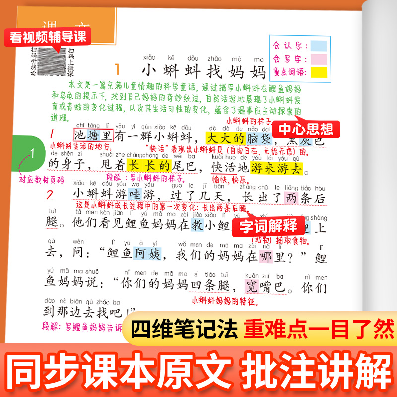 2024新版课堂笔记二年级上册语文人教版部编版小学二上学期课本同步预习资料黄冈学霸笔记教材全解解析随堂解读数学书人教正版二年 - 图2