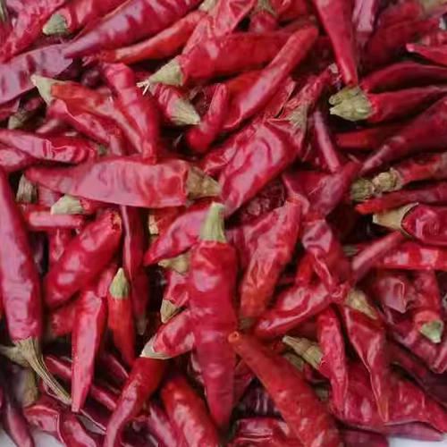 Новый продукт Сычуаньский семизвездочный перец 500 г, бесплатная доставка, прямые продажи, небольшие сушеные сегменты чили, измельченная лапша, пряное масло, пряные семена