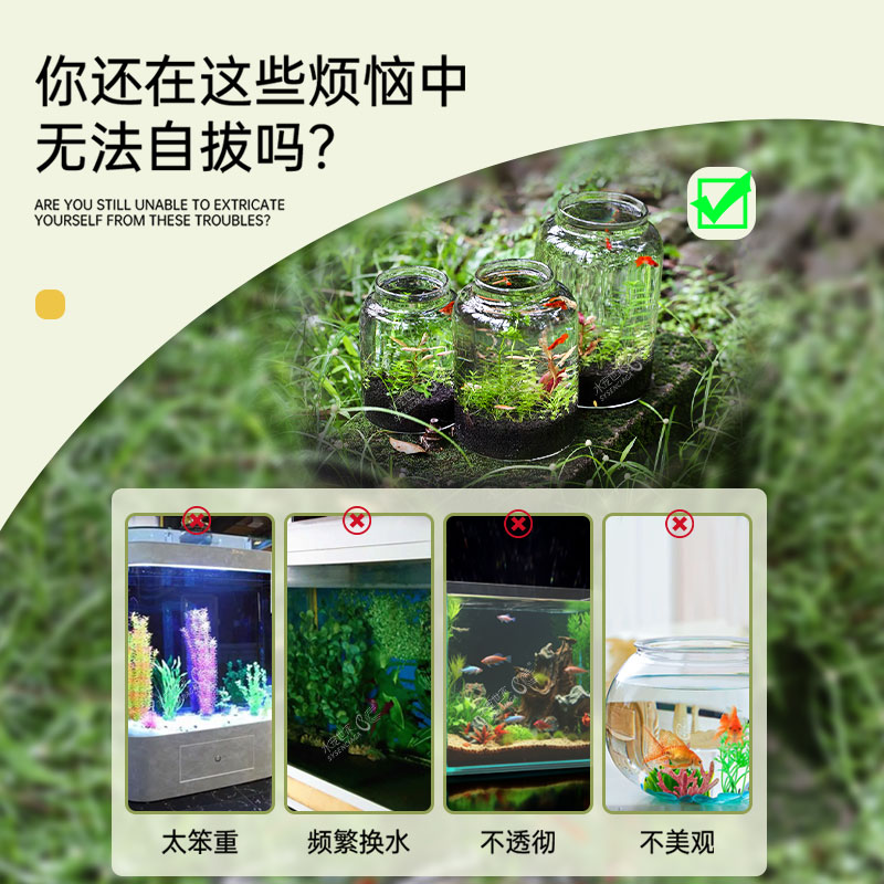 暮云春树生态瓶桌面迷你微景观水族活体专用免打理免换水手工DIY-图2