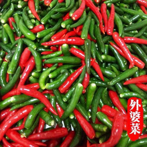 徐州邳州山东特产辣椒炒小鱼青椒炒干锅烤鱼真空新沂散装真空 - 图2