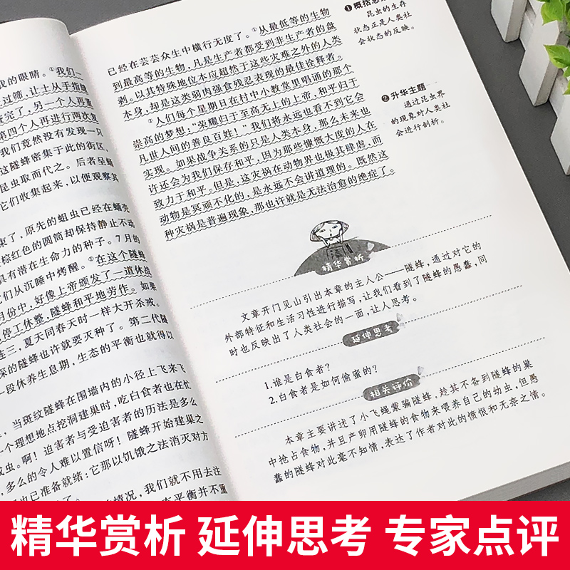 昆虫记法布尔正版原著完整版小学生三年级四五年级六年级下册必读书籍课外世界名著全集初中青少年人民少年儿童文学读物快乐读书吧-图2