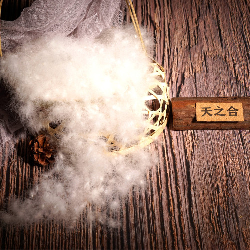 羽绒散装 95%白鸭绒 鹅绒 羽绒枕头羽绒被羽绒服填充物 - 图1