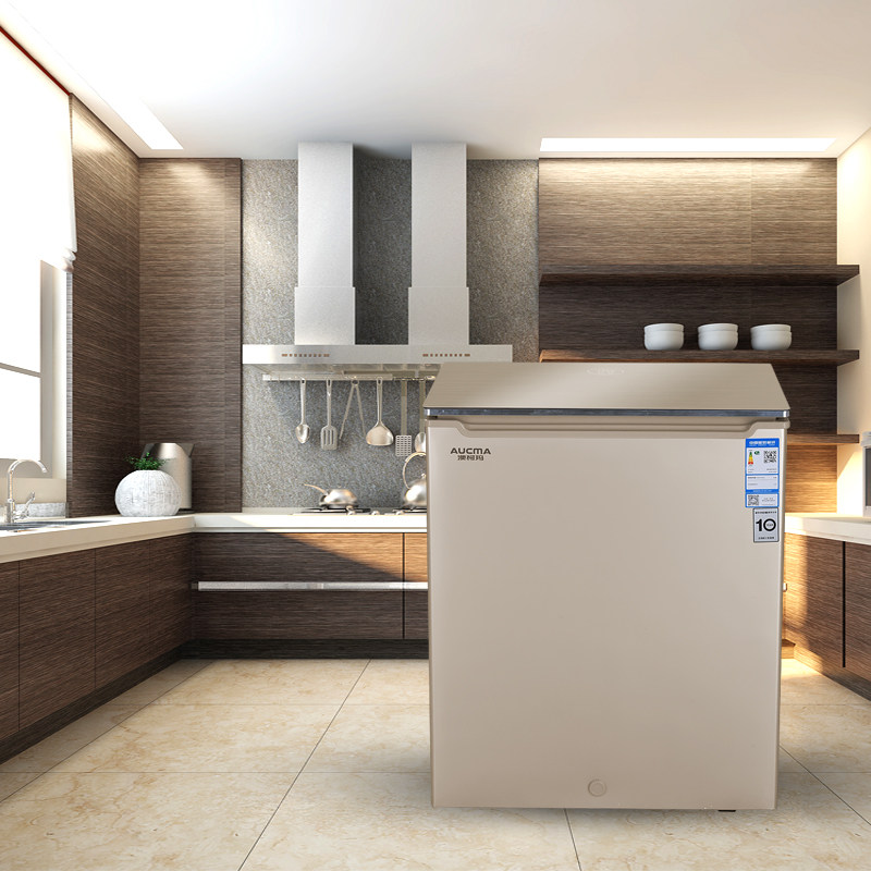 aucma /澳柯玛-40度超低温小冰柜 奕尚电器冷柜