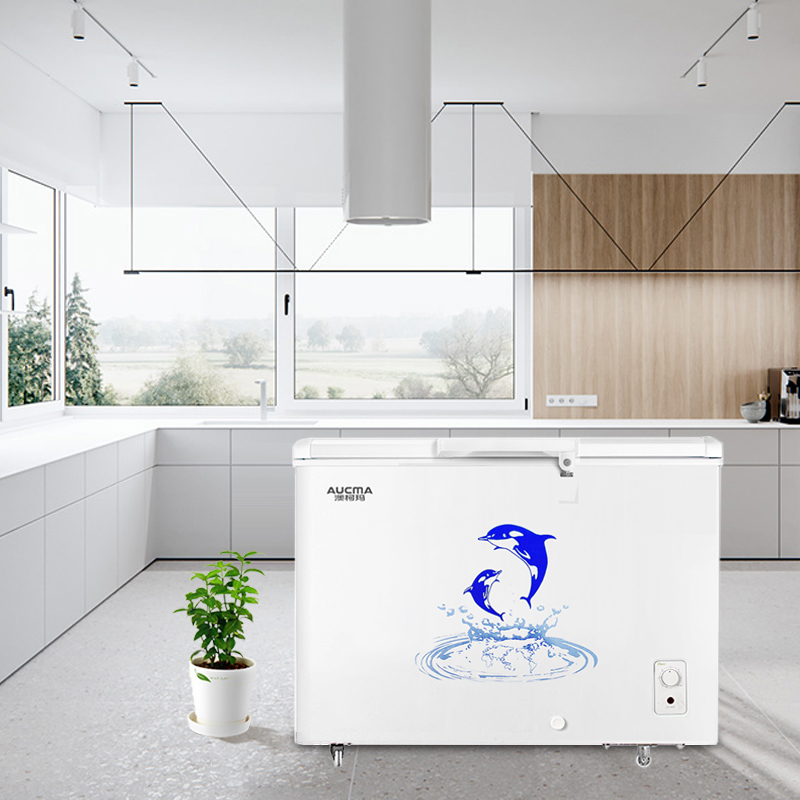 澳柯玛325na商用大容量家用冷冻柜 奕尚电器冷柜