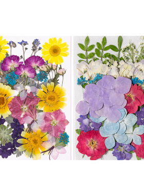 天然真花压花混合花材DIY包