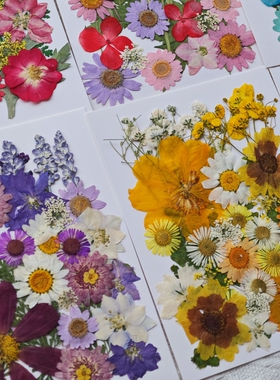 儿童手工社团活动花瓣妆干花