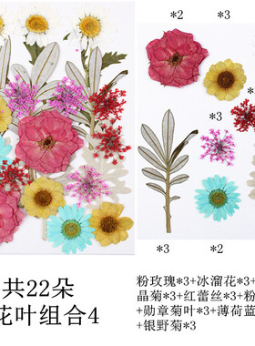 干花包真花押花材料包花瓣装饰