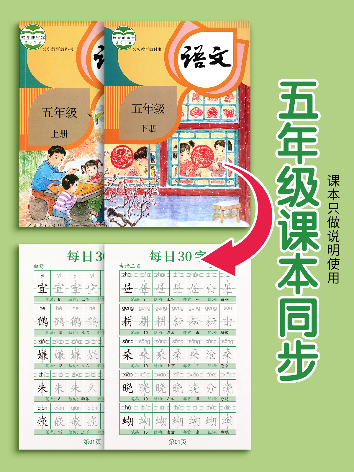 五年级下册上册同步练字帖字帖小学生每日一练每日30字人教版点阵控笔训练写字本减压专用楷书练习描红钢笔硬笔书法语文笔画笔顺贴 - 图0