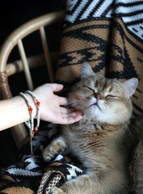 女款小众百搭玛瑙气质锁骨链项链