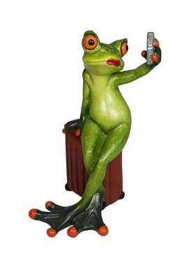 2025新款节操蛙田园卡通婚礼桌面摆件工艺品家居装饰品情侣礼物