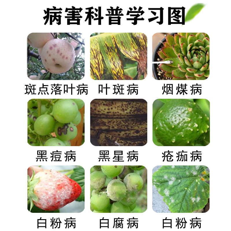 苯醚甲环唑杀菌剂果树蔬菜10%白粉病叶斑病黑斑病炭疽锈病专用药 - 图1