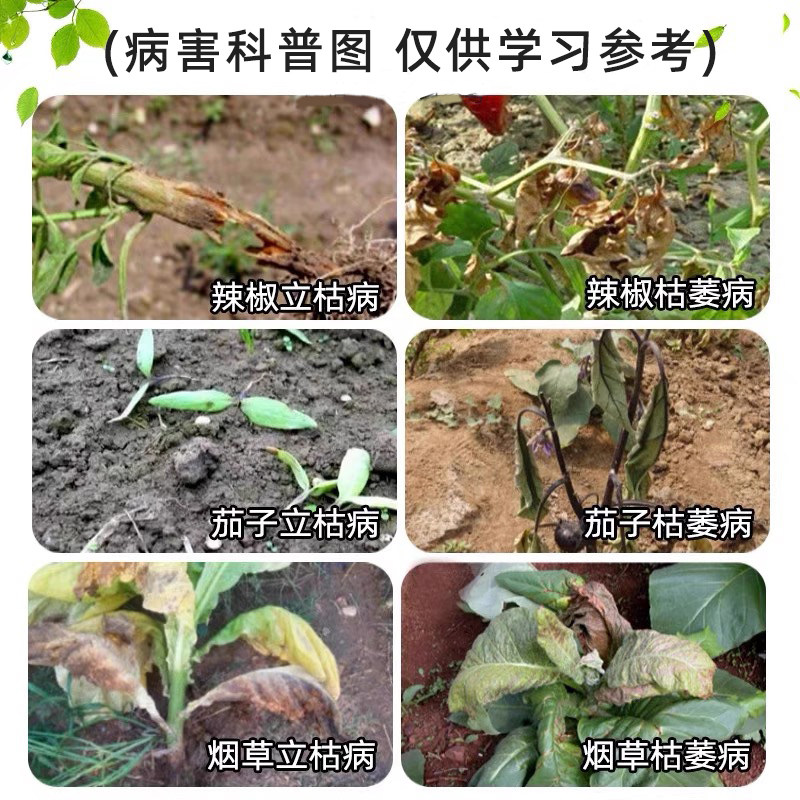 农用杀菌剂井冈霉素小麦蔬菜月季花果树枯萎病立枯病专用药杀菌药,淘宝优惠券,粉丝福利购,淘宝优惠卷