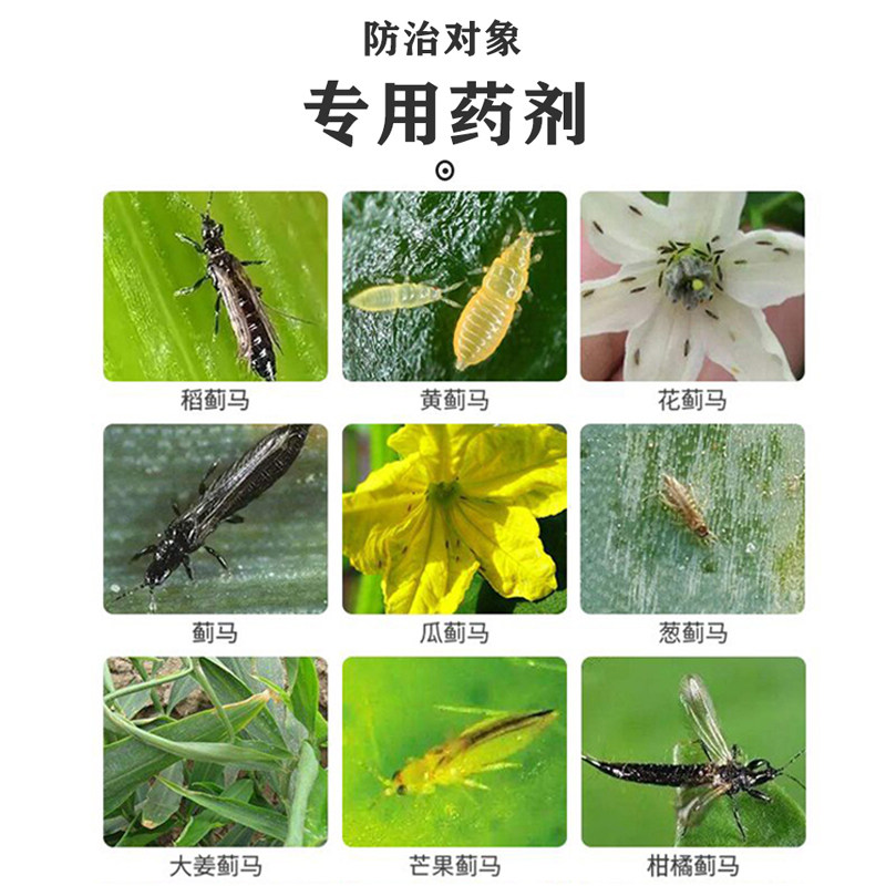 蓟马专用药杀虫剂高效虫卵双杀蓟马药杀蓟马专用药甲氨基阿维菌素 六亩田农资商城